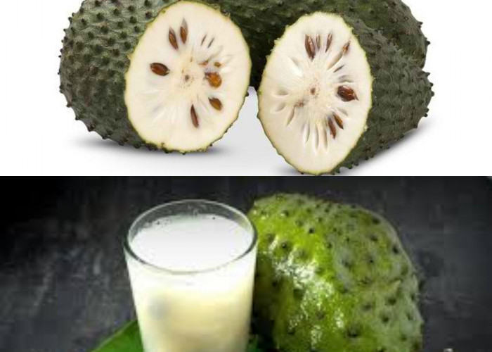 Wajib Diketahui Manfaat Buah Sirsak untuk Wanita yang Menyehatkan!