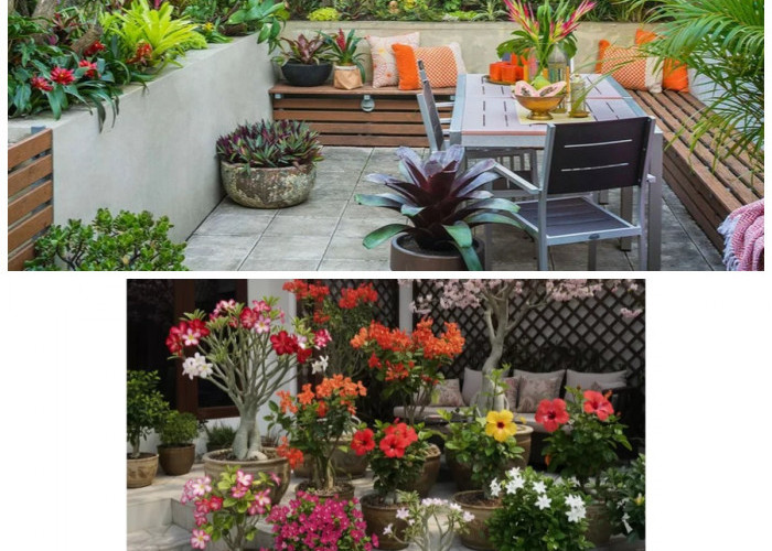 Cantik Tanpa Ribet, Ini 8 Pohon Mini Berbunga yang Cocok untuk Teras Rumah