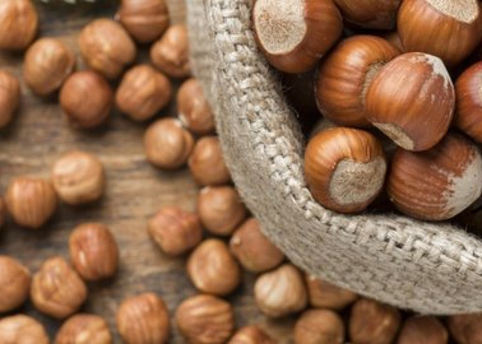 Mari Pahami 5 Manfaat Kacang Hazelnut Ini, Mulai Dari Melawan Radikal Bebas Hingga Menurunkan Kadar Kolesterol