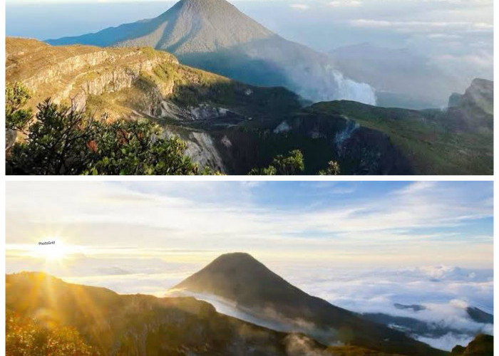 Sejarah dan Misteri Gunung Pangrango: Antara Keindahan Alam dan Aura Gaib di Puncak Jawa Barat!
