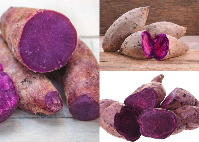 Manfaat Ubi Ungu bagi Kesehatan Tubuh: Sumber Antioksidan Alami yang Kaya Gizi dan Baik untuk Jantung!