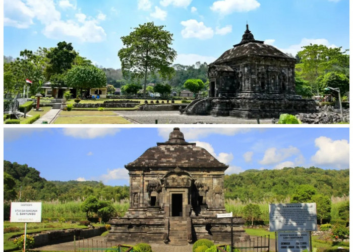 Menelusuri Sejarah Candi Banyunibo: Jejak Keheningan Buddhis di Tengah Sawah Sleman!