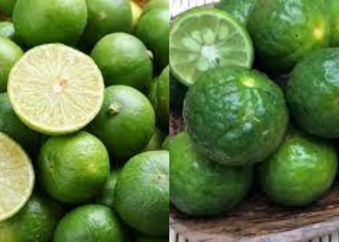 Yuk Intip! Ini 8 Manfaat Jeruk Limau Untuk Kesehatan Tubuh Yang Luar Biasa