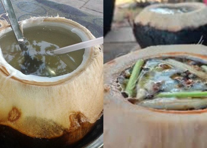 Inilah Sebuah Manfaat Dari Kelapa Bakar bagi Kesehatan!