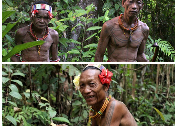 Menjelajahi Suku Mentawai: Keterikatan Mendalam dengan Hutan dan Tradisi yang Unik