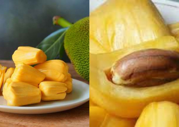 Kaya Serat dan Vitamin, Ini Manfaat Buah Nangka untuk Kesehatan!