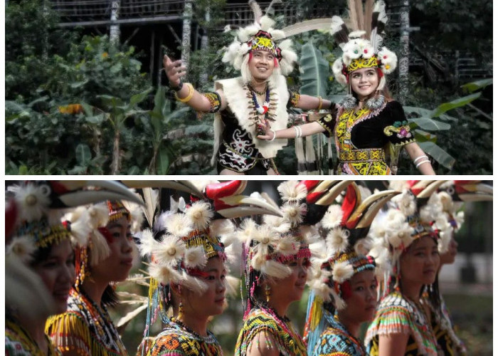 Ragam Baju Adat Suku Kalimantan: Dari Pakaian Dayak hingga Banjar yang Memesona!