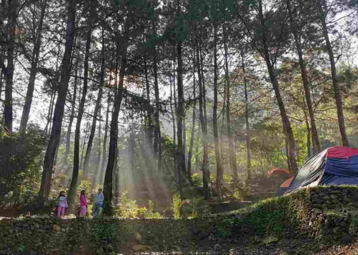 Ini Dia! 5 Lokasi Camping Ground Paling Hits Di Bogor