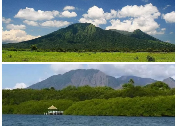 Misteri dan Keindahan Gunung Baluran: Menelusuri Sejarah dan Pesona Alam yang Menakjubkan