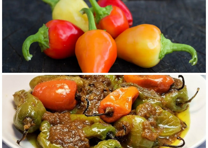 Rahasia Cabe Gendut: Bumbu Pedas yang Bisa Bantu Turunkan Berat Badan!
