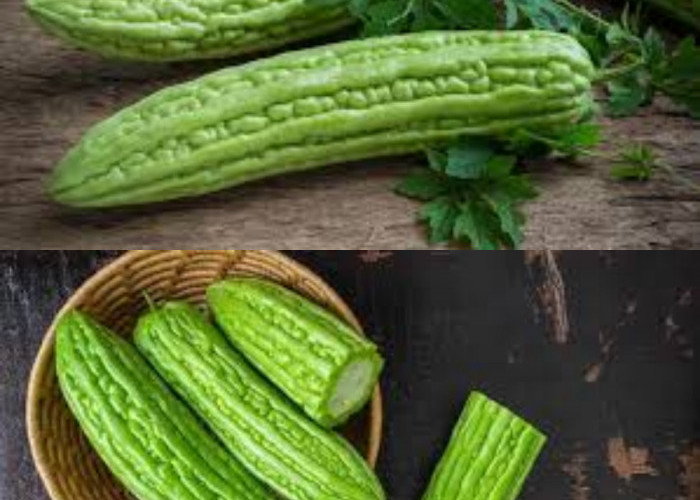 Wow! Teryata Ini Manfaat Pare Untuk Kesehatan Yang Sayang Untuk Dilewatkan