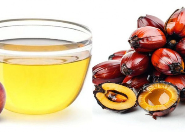  Inilah 5 Manfaat Minyak Kelapa Sawit untuk Tubuh Yang Harus Kalian Tahu!