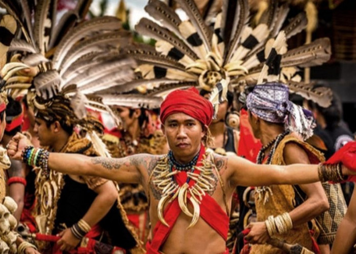 Pernyataan Mengejutkan Suku Dayak Tentang Pembangunan IKN