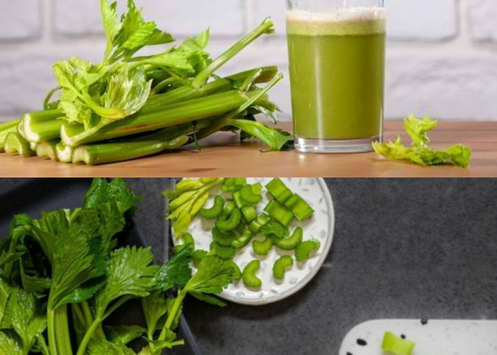 5 Manfaat Rebusan Daun Seledri untuk Kesehatan, Cara Membuat dan Aturan Konsumsinya
