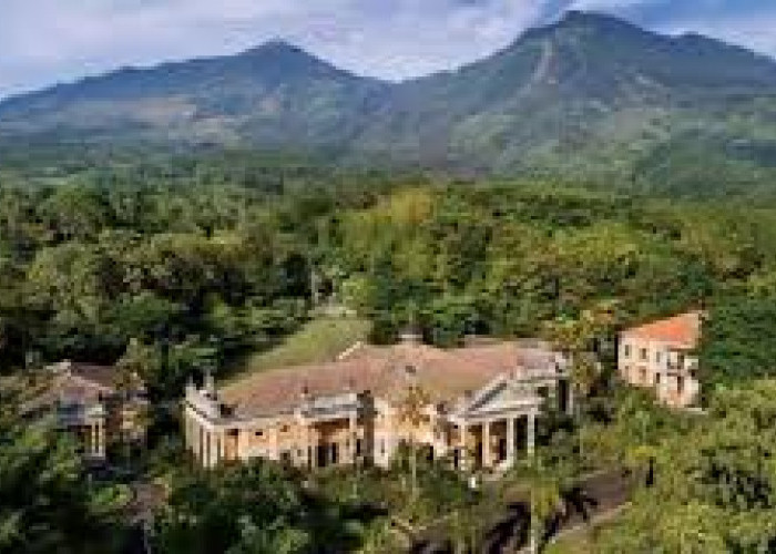 Gegerkan Dunia! Benarkah Ada Penemuan Istana Seluas 5 Hektare di Tengah Hutan Jawa Timur