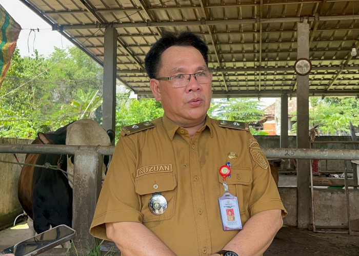 Kejar Swasembada Daging, DKPP Sumsel Siapkan Lima Sentra Peternakan