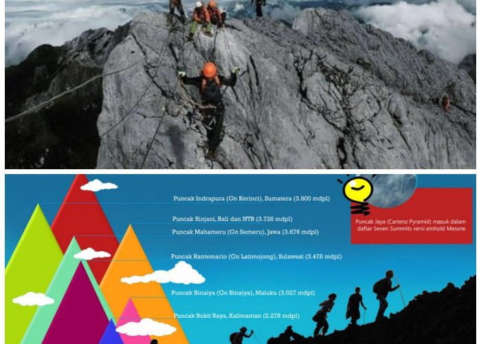 Menjelajahi 7 Daftar Gunung Tertinggi di Indonesia yang Bakal uji Adrenalinmu