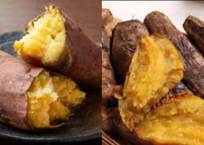 Yuk Intip! Manfaat Ubi Celembu Untuk Kesehatan Tubuh Yang Luar Biasa