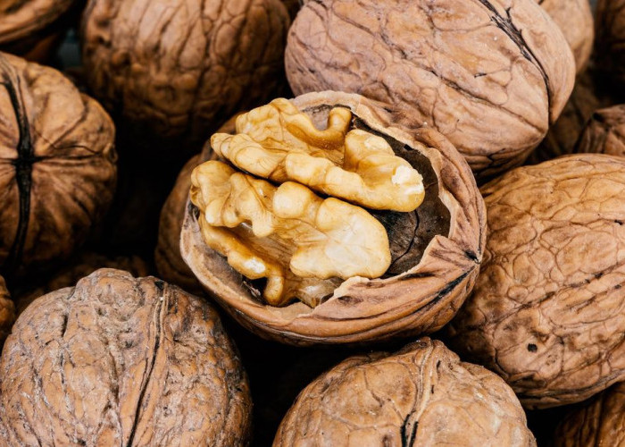 Kenali 5 Manfaat Kacang Kenari yang Baik untuk Kesehatan 
