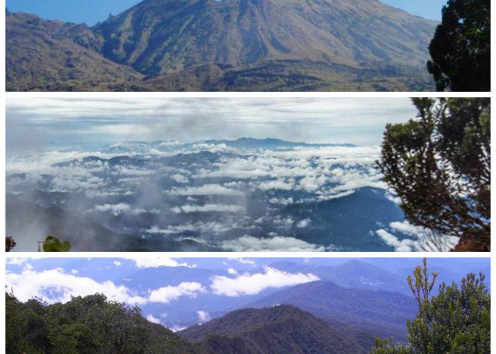 Gunung Bukit Raya: Puncak Tertinggi Kalimantan yang Sarat Makna Budaya!