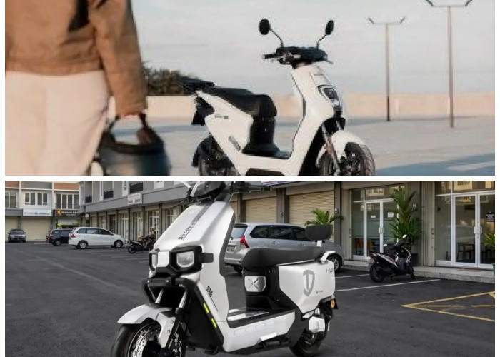 Bukan Sekadar Gaya! Ini Keunggulan dan Ketangguhan Tailg F5 yang Wajib Diketahui