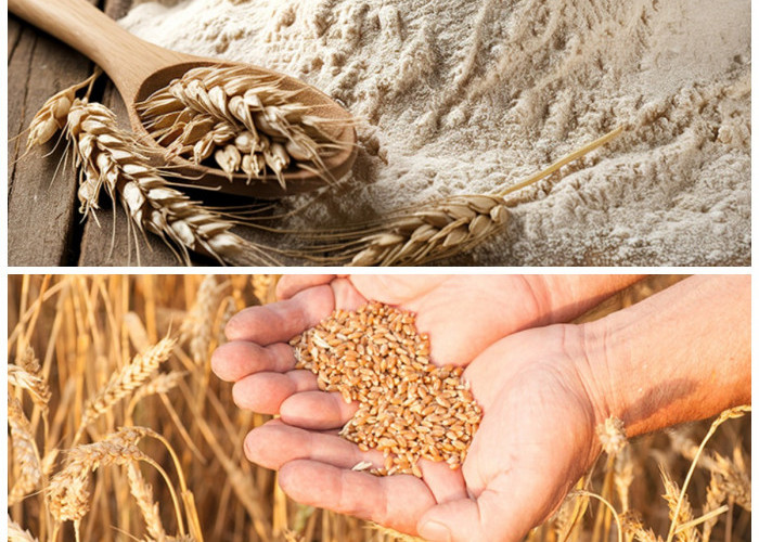 Ingin Diet Lebih Efektif? Ini Alasan Gandum Utuh Layak Jadi Menu Andalan!