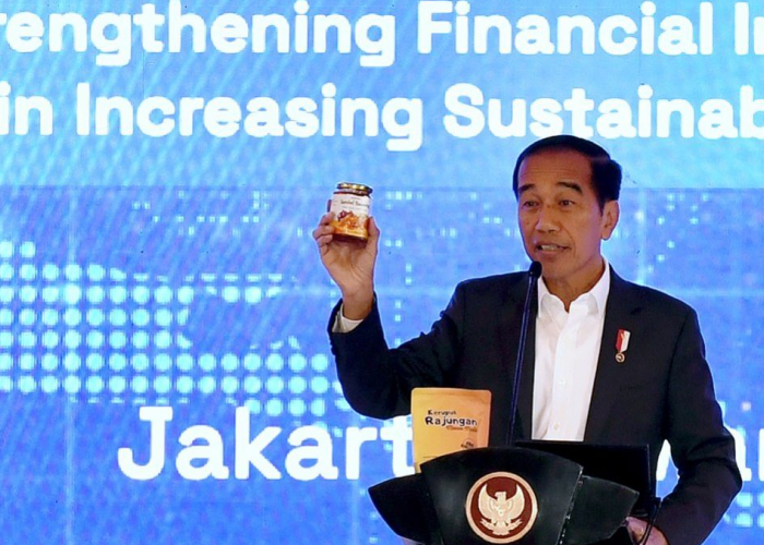 Presiden Jokowi: Berikan Solusi Alternatif bagi Pelaku UMKM yang Kesulitan Mendapatkan KUR
