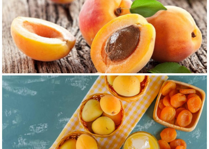 Buah Aprikot, Si Kecil Kaya Nutrisi yang Ampuh Jaga Kesehatan Tubuh dari Dalam!