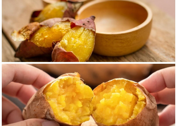 Manfaat Ubi Cilembu untuk Ibu Hamil: Sumber Nutrisi Alami Penunjang Kehamilan Sehat!