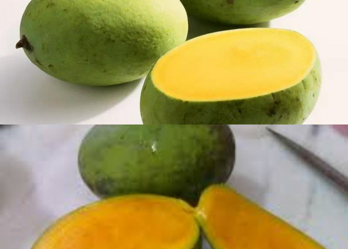 Mangga Kweni, Nutrisi dan Manfaat Kesehatan!