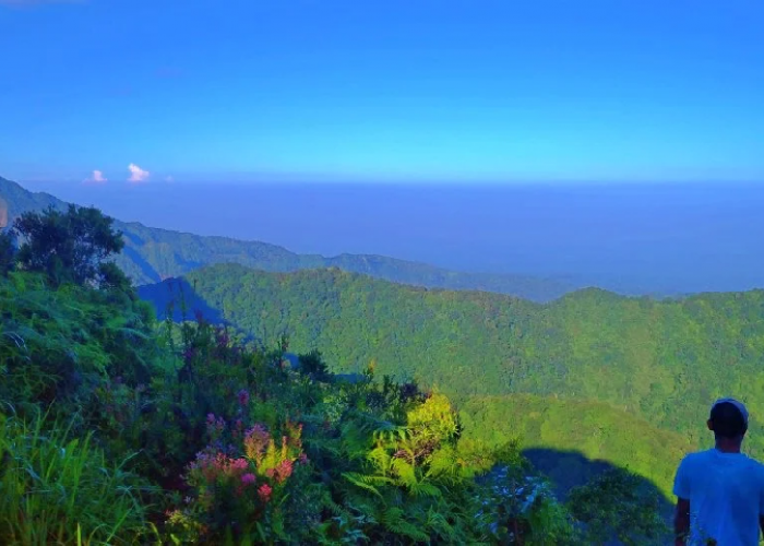 Argojambangan: Mengungkap Sejarah dan Rahasia Mistis Gunung yang Sakral