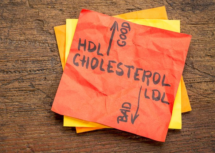 Waspada, Kadar Kolesterol LDL yang Tinggi Dapat Tingkatkan Risiko Penyakit  