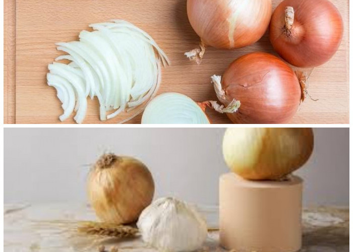 9 Khasiat Bawang Bombai untuk Kesehatan Tubuh yang Wajib Diketahui!