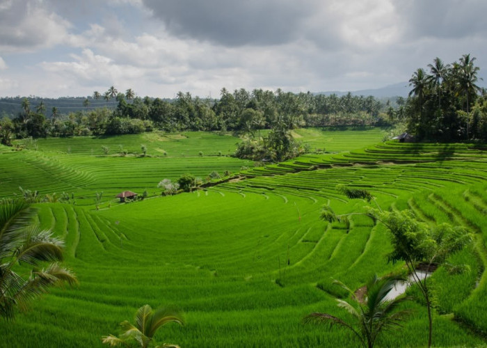 Hingga September 2026, data LP2B yang diusulkan pemerintah daerah secara nasional telah mencapai 87,63 persen.