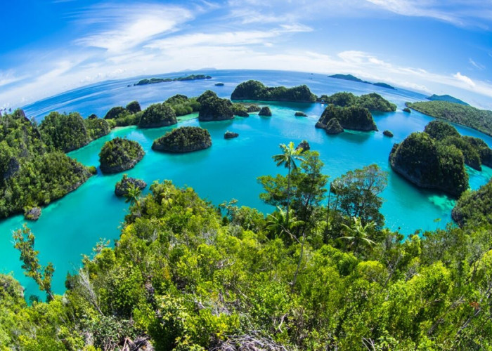 Pemandangan Tak Tertandingi, Ini Dia Wisata Alam Papua Barat yang Luar Biasa!