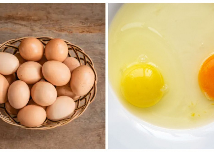 Ini Perbedaan Telur Omega-3 dan Telur Biasa