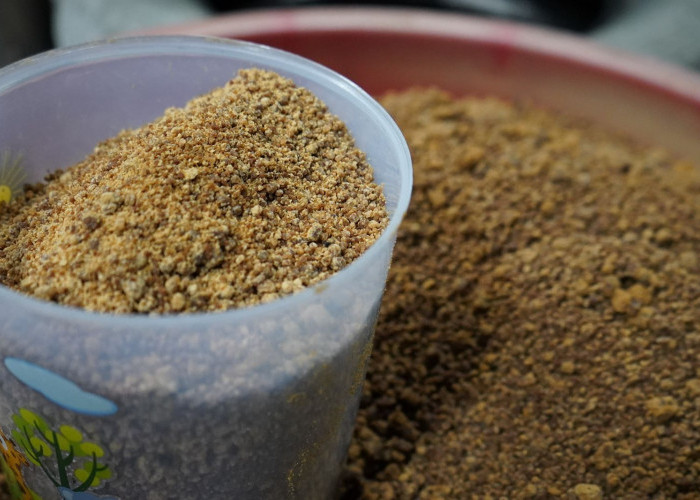 Reforma Agraria Menumbuhkan Harapan Baru Petani Gula Semut di Lereng Menoreh