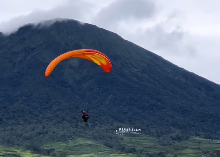 Atraksi Paralayang Festival Dempo 2025, Melihat Keindahan Pagar Alam dari Angkasa