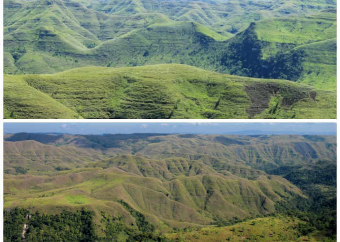 Gunung Wanggameti, Atap Sumba yang Menyimpan Keindahan Alam dan Kearifan Lokal