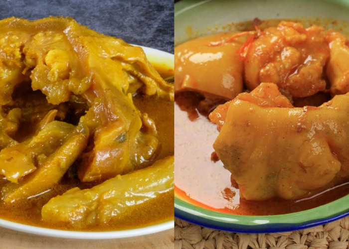 Kuy Cobain Cara Membuat Gulai Tunjang Rumah Makan Padang, yang Pedas Gurihnya Mantap!