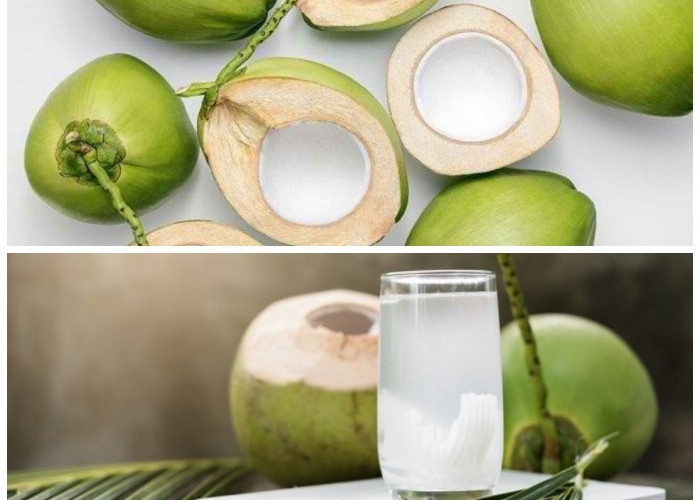 Manfaat Buah Kelapa untuk Kecantikan dan Kesehatan Tubuh: Rahasia Alami dari Alam Tropis!