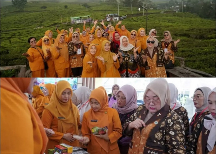 Terima Kunjungan Studi Tiru GOW OKU dan OKUS, Wawako : GOW Mitra Pemerintah Wujudkan Masyarakat Sejahtera