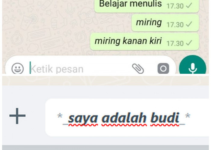 Begini Cara Tulis Pesan Unik di WA Tanpa Ribet dan Tanpa Aplikasi!
