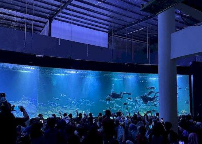 Rekomendasi Liburan Menarik Dan Edukatif, Cobain ke 5 Aquarium Terbesar Di Indonesia Ini!