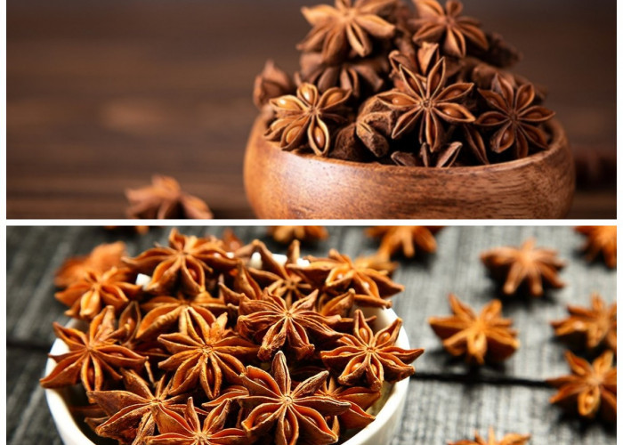 Rempah Berbentuk Bintang yang Menyehatkan: Manfaat Bunga Lawang yang Jarang Diketahui!