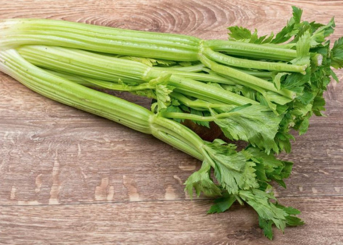Catat! Inilah Manfaat Dari Daun Seledri untuk Kesehatan Ginjal