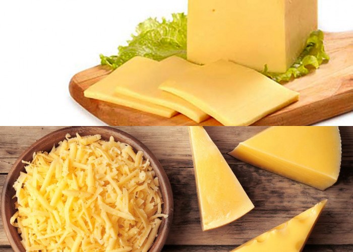 Jangan Lewatkan, Ini Keuntungan Keju untuk Anak!