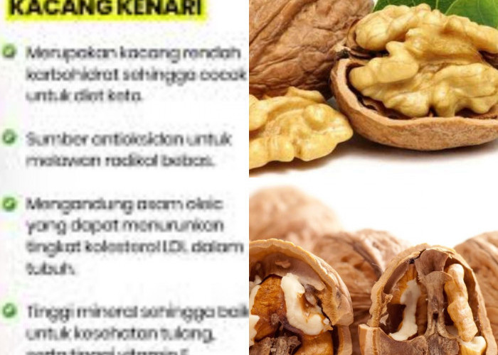 Sudah Tahu Manfaat Luar Biasa Kacang Kenari untuk Kesehatan? Yuk, Cek!