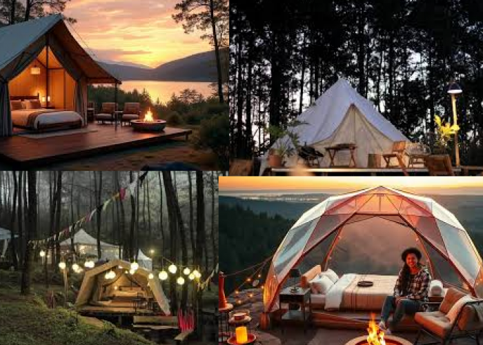 Glamping Mewah di Tengah Hutan: Sensasi Liburan Alam Rasa Hotel Bintang 5!