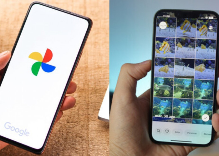 Apa Saja Fitur Google Photos Berbasis AI yang Punya Banyak Keunggulan? Temukan Jawabannya!